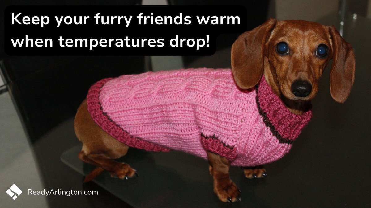 ReadyArlington's tweet image. Keep your furry friends warm this season by keeping them indoors! 🐶  
A sweater might do the trick too.

Stay toasty, furry friends! 🐾

#WinterReady #BePrepared #PetSafety