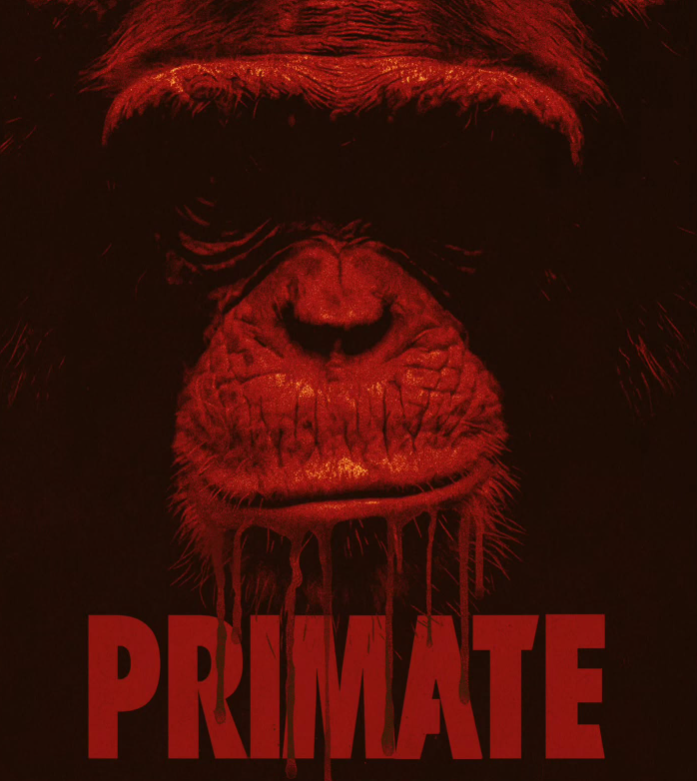 Mise en scène, concept et décor assez cool mais le scénario, tellement débile, ruine tout. Et faut vraiment y aller fort dans la suspension d'incrédulité pour croire à ces scènes où un chimpanzé d1m20 terrifie un groupe de 6 personnes.