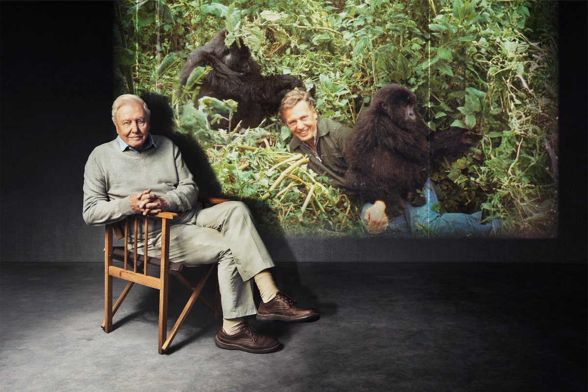 BBC confirms flurry of David Attenborough shows to celebrate his 100th birthday – including exclusive new interviews and docs

radiotimes.com/tv/documentari…