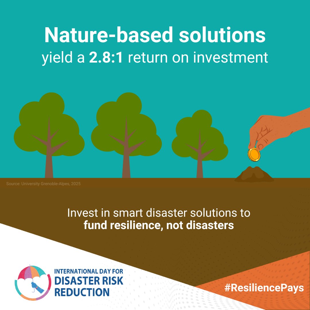🌱 Investing in nature-based solutions is a smart way to fund resilience, not disasters.

Funding disaster resilience gives economic returns. 💰

🌐 Investing in reducing disaster risk makes financial sense. Because #ResiliencePays 

➡️ow.ly/5y6550YgL5e