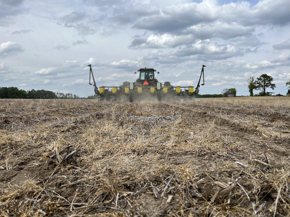 CoastalAgro's tweet photo. Right Seed. Right Acre. Better Results.
At Coastal, we cut through the noise with real data, local know-how, and experience that matters.  Unbiased recommendations tailored to YOUR fields, not a one-size-fits-all answer. Let's put the best genetics where the'll perform best! https://t.co/SVEFdgKj3R