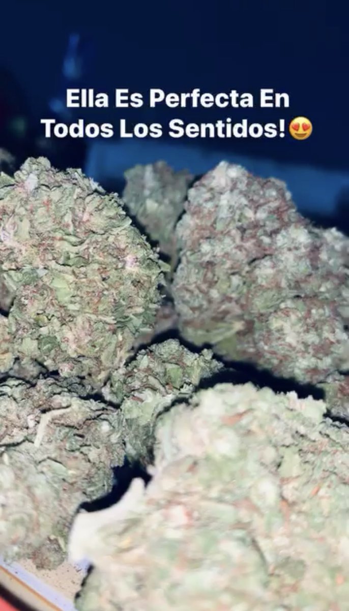 Nancy Sandoval🍬🍭 tweet media