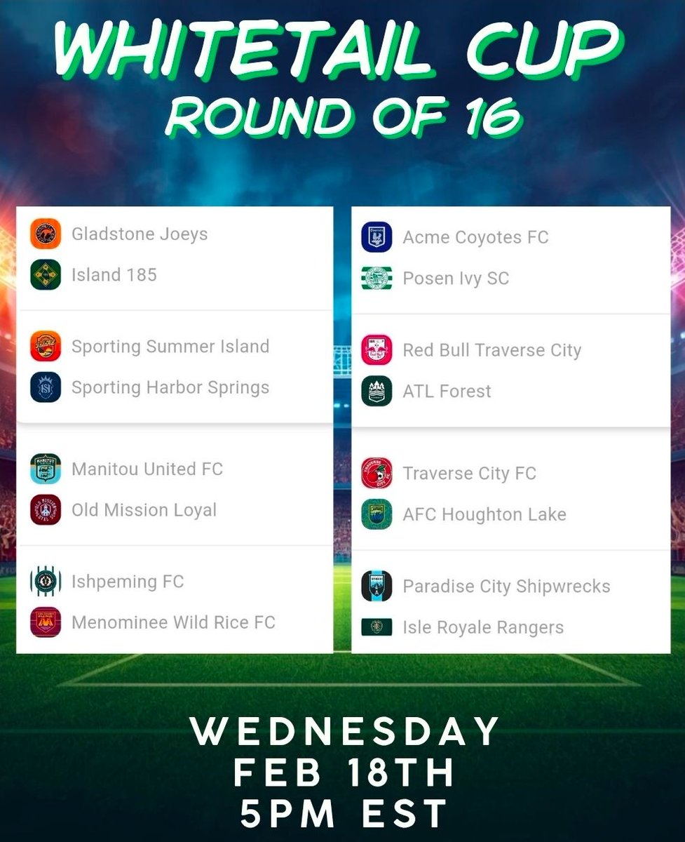 Northern Michigan Faux Football Leagues tweet media