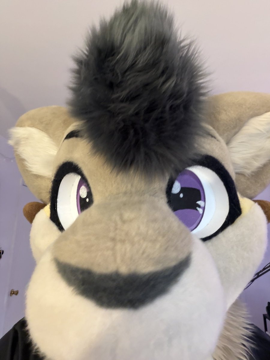 Hello I hope everyone is having a fantastic day