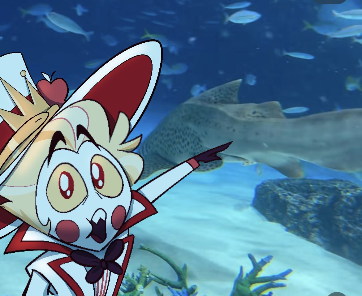 ⋆˚✿˖° Zahra ⋆˚✿˖° tweet media