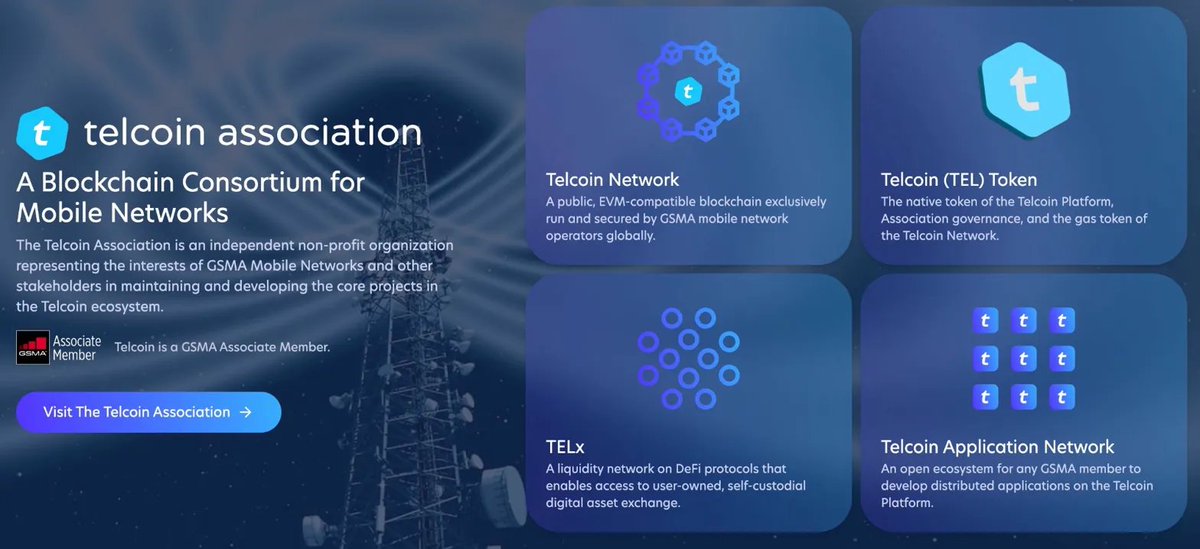 X Finance Bull tweet media