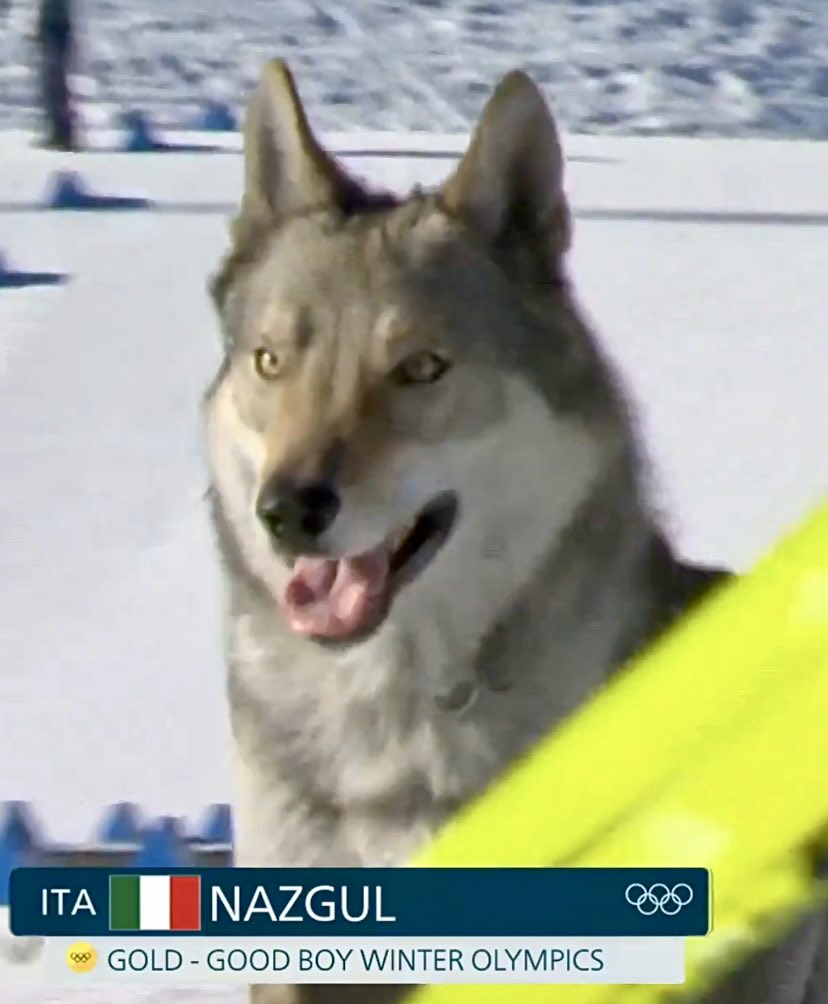 Nick Yada Yada tweet media