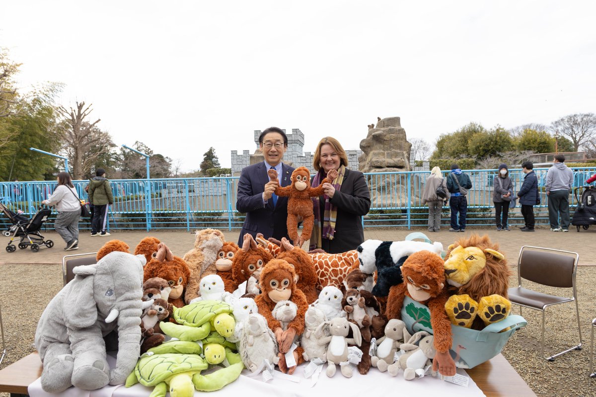 Punch, the baby monkey who went viral for clinging to a plush toy after being abandoned by his mother, was visited by IKEA Japan’s president.

During the visit, IKEA donated multiple replacement DJUNGELSKOG orangutan plushies, affectionately nicknamed “Oran Mama” by fans, to