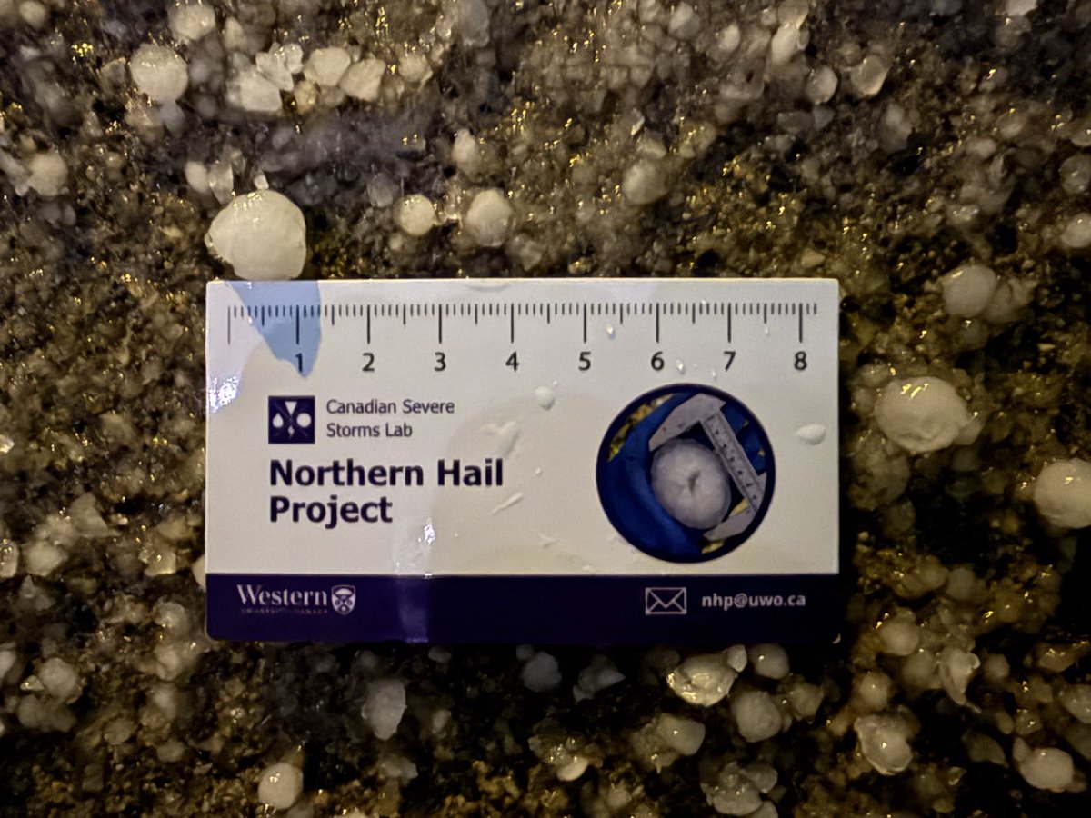 Connell Miller tweet media