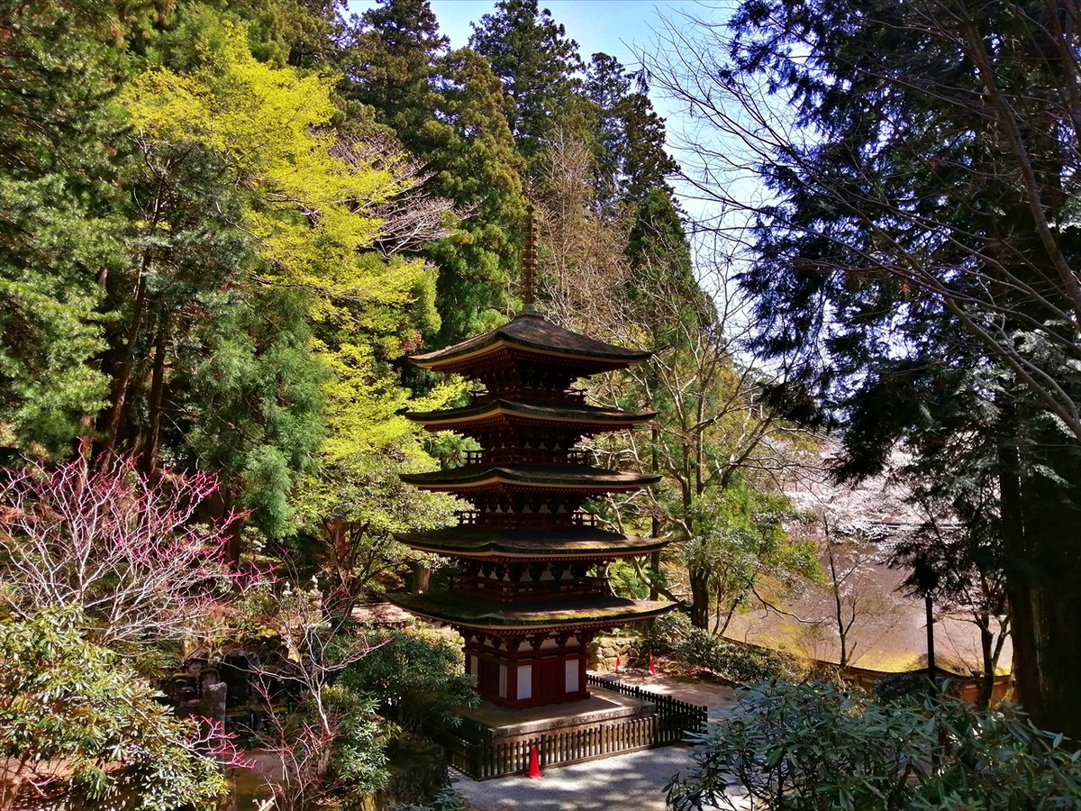 旅先での写真 tweet media