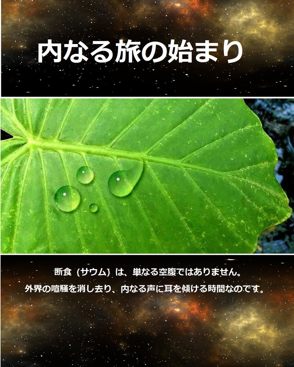 IraNippon's tweet photo. 本日、ラマダン開始。断食は心を磨く「精進」のとき。肉体の声を静める精神性は、日本の美徳と共鳴します。平和な月を。
#イラン文化遺産 #ペルシャ #イラン学 #イラン文化 #日イラン #日イラン友好 #Ramadan2026 #shojin #Gaman https://t.co/McCSs73Up5