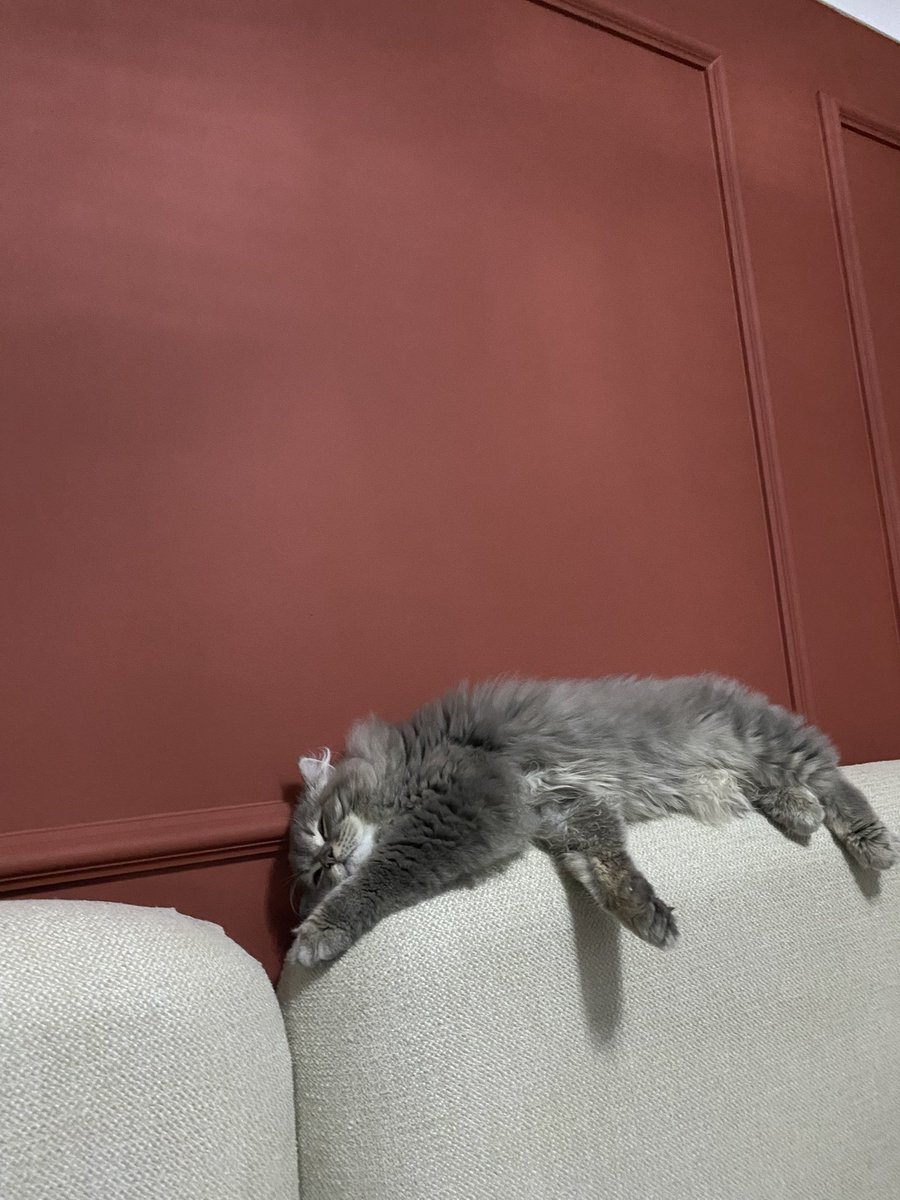 Bir sürü yatağı ve bir o kadar da rahat yer olmasına rağmen barneyim canım oğlumun yatmayı tercih ettiği yer djndjdhd