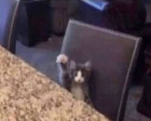 Rathmoore tweet media