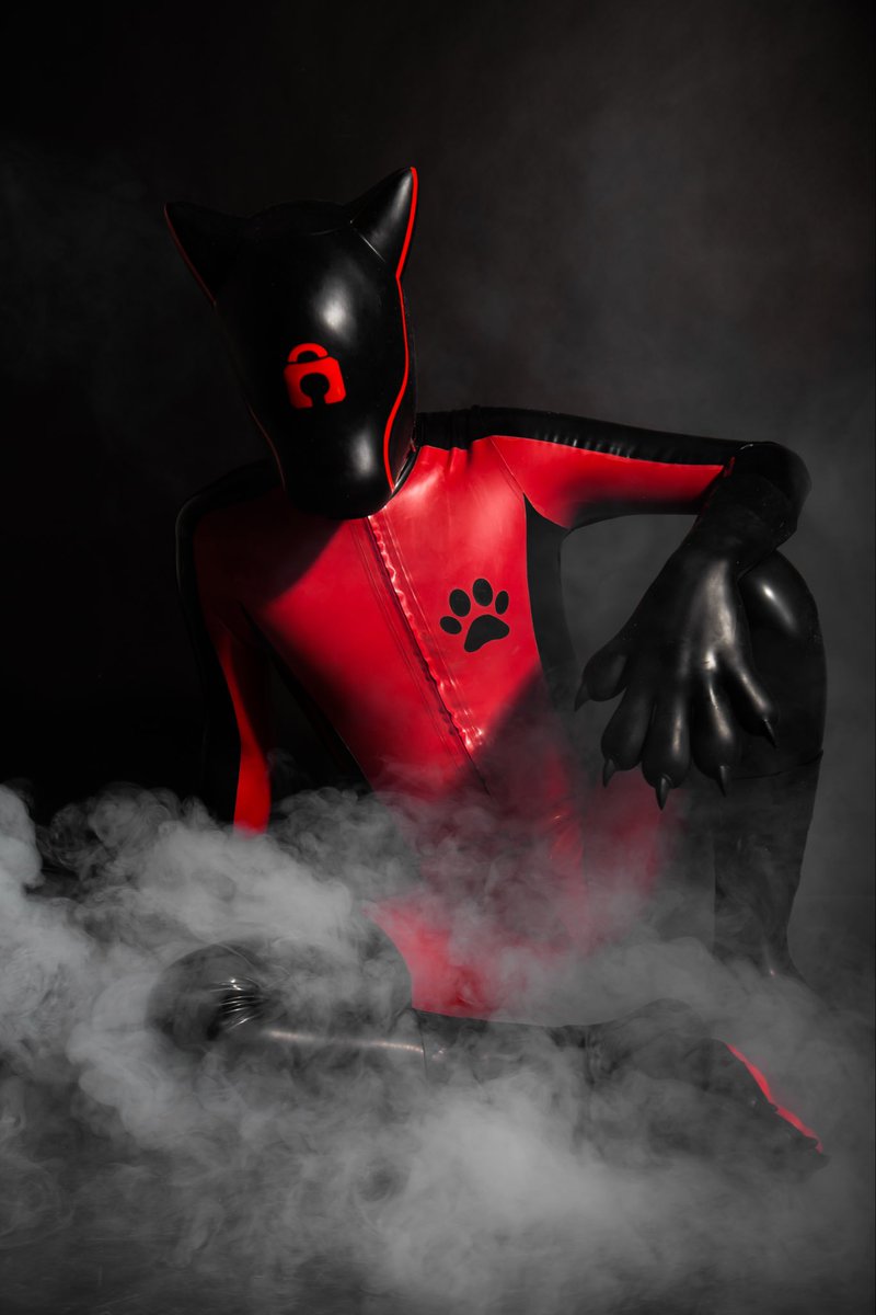 shinimod2's tweet photo. #gay #puppyplay #gaypuppyplay #latex #leather https://t.co/uiot9hoNFC