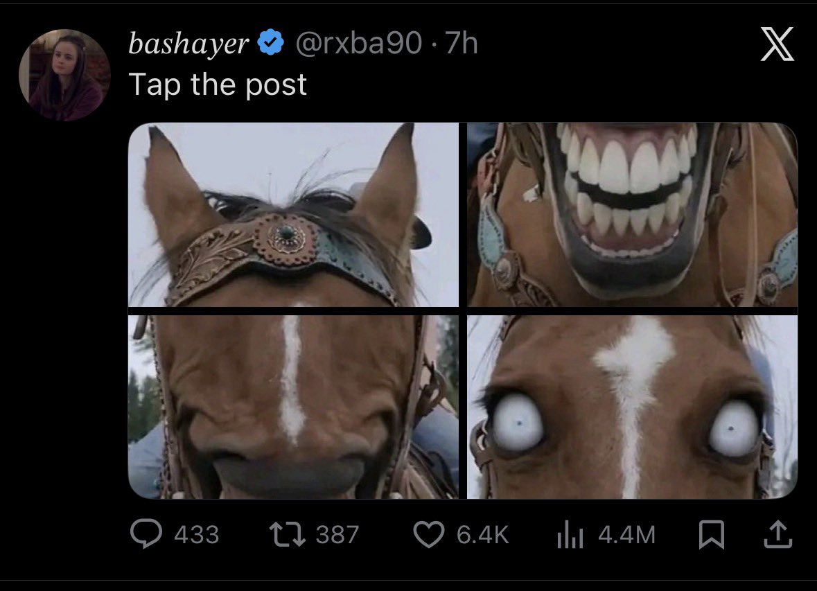 guapking0725's tweet photo. Why would I ever do that https://t.co/tbjlCOUK6g