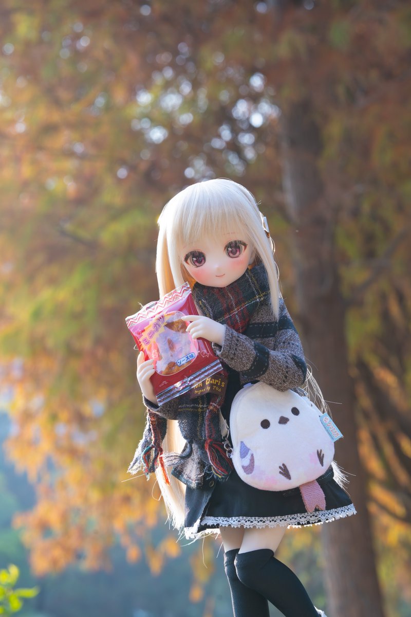 ボーダー (@Borderline1263) / Posts / X