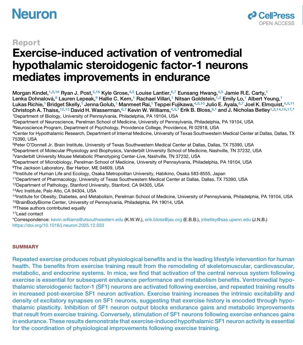 Brady_H's tweet image. This study is already my candidate for “coolest scientific finding of the year.”

It finds that the brain—specifically a set of neurons in the ventromedial hypothalamus (VMH)—is a key intermediate for improvements in endurance capacity.

1. Exercise strengthens inputs to and
