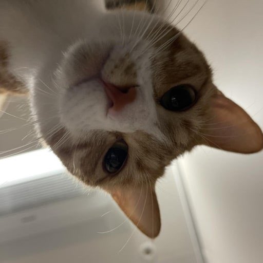 noanswersyet_'s tweet image. 트이타 미쳣내
또 이러내
알림도 안오구
새로고침도 느려짐