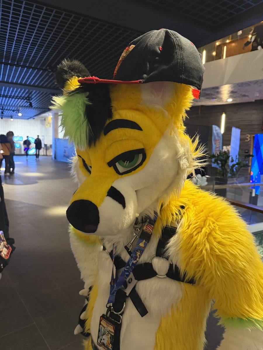 Look at this silly fusky <a href="/ZingoFusky/">Zingo</a> wearing my iconic hat 💛