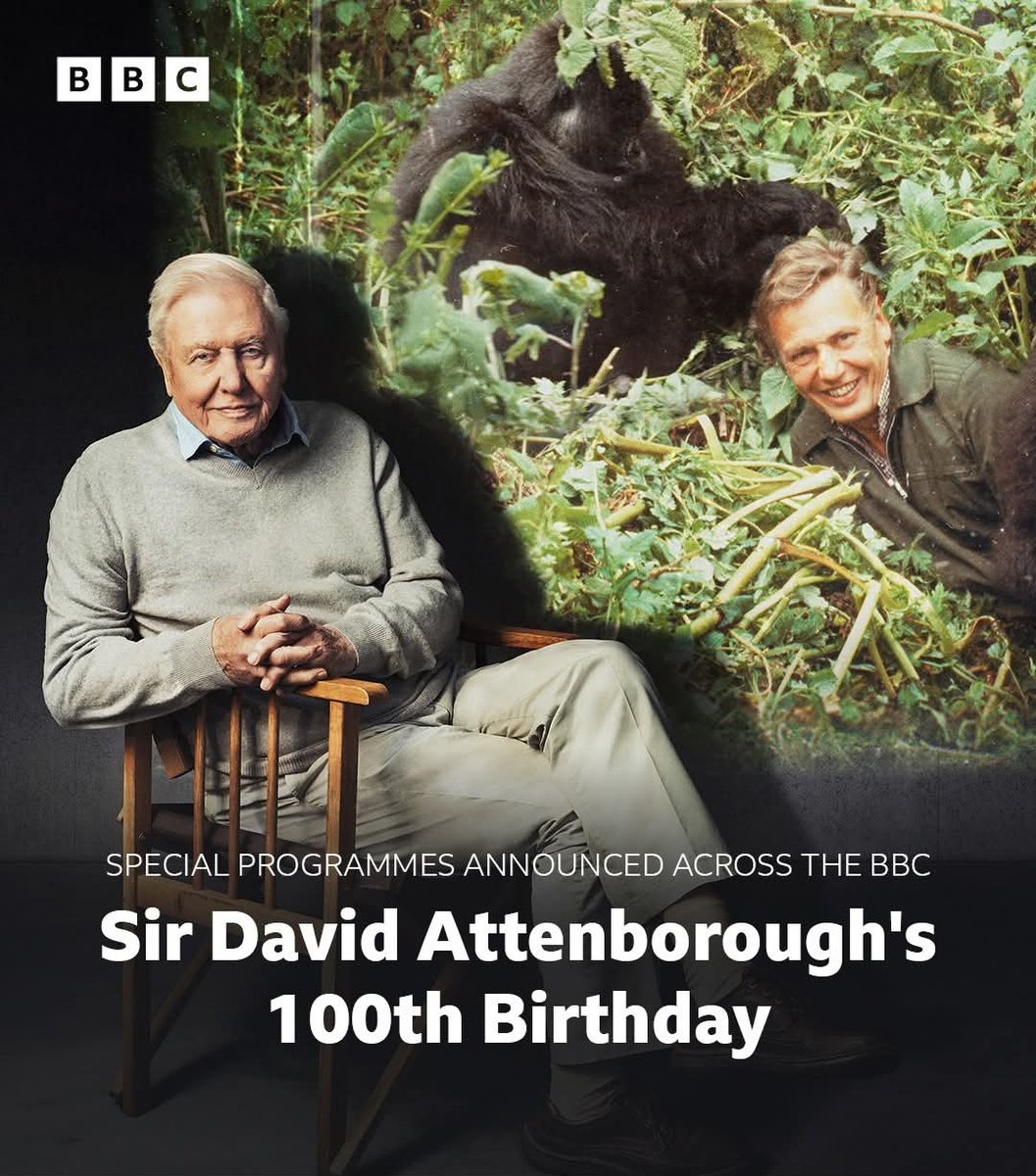 Andreas Kirchner tweet media