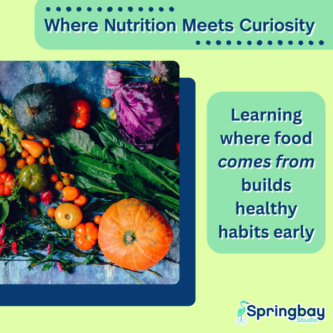 Springbay Studio tweet media