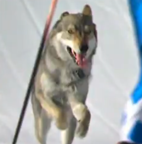 James (@jamesfarme86479) on Twitter photo 