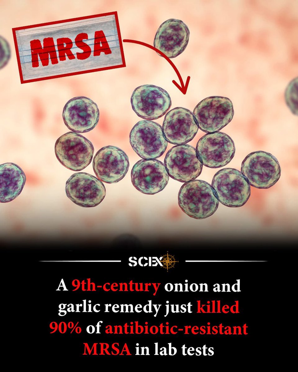 More than 1,000 years ago, an Anglo-Saxon healer wrote down a recipe for an eye infection. Today, that same formula is turning heads in modern laboratories.

The remedy, known as Bald’s eye salve, appears in the medieval medical text Bald’s Leechbook. Its ingredients are