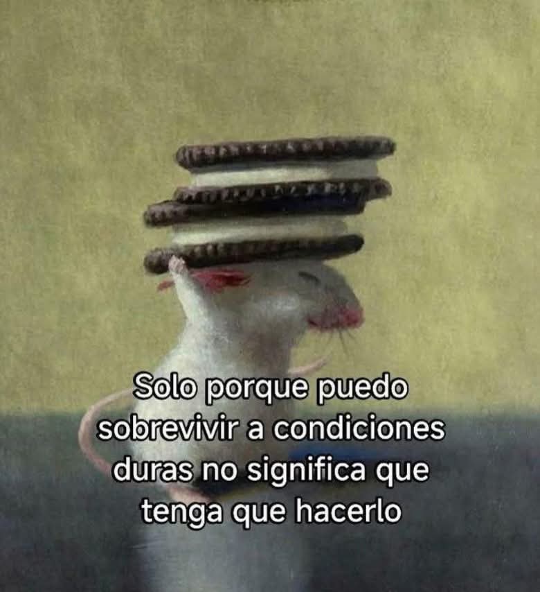 Anyone (@anyxne) on Twitter photo 