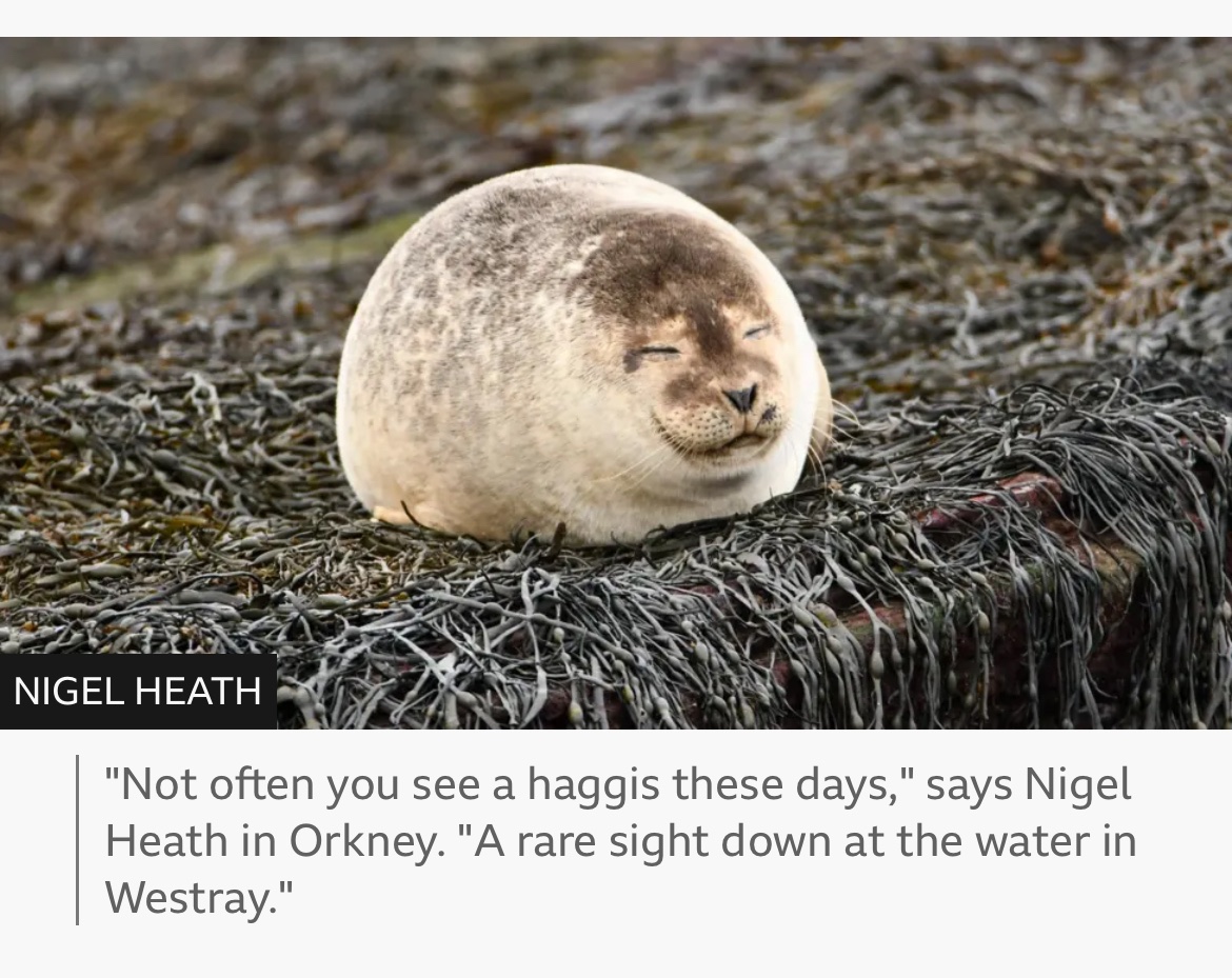 Katsunori (@katsukunfibsh) on Twitter photo 