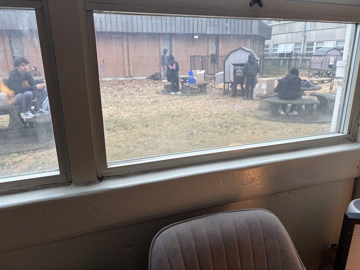 🌍 Dr. Michelle Shory 💻 tweet media