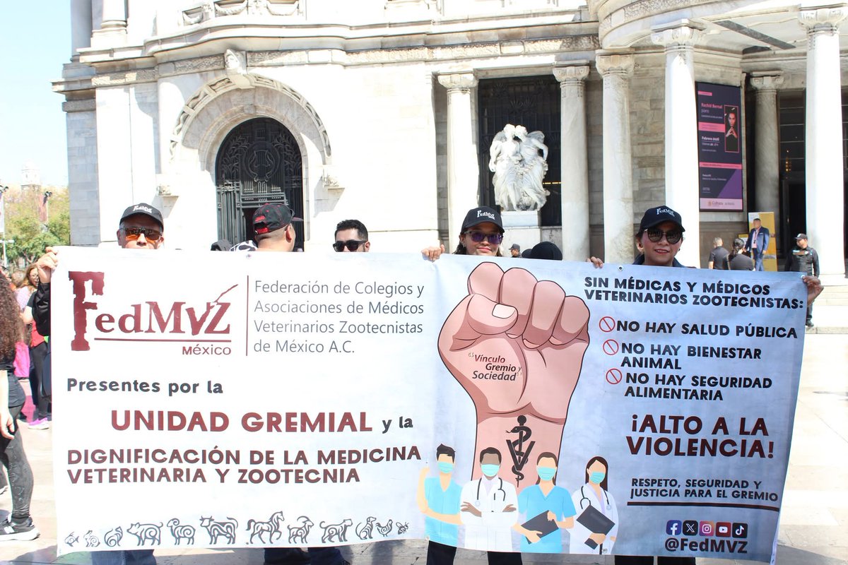 FedMVZ | Federación de Médicos Veterinarios 🇲🇽 tweet media