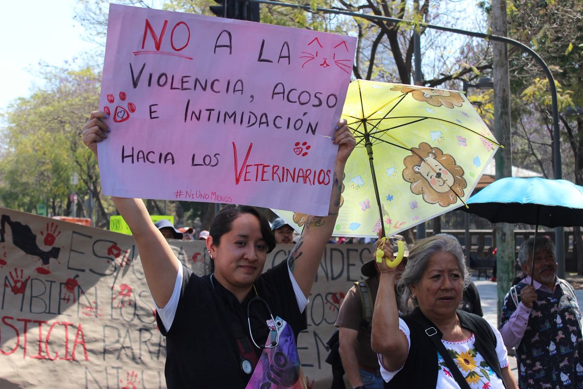 FedMVZ | Federación de Médicos Veterinarios 🇲🇽 tweet media