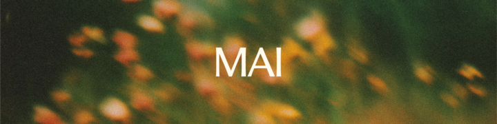 Paul Soulos tweet media