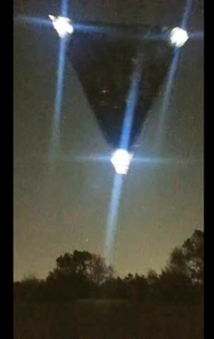 The Biblical Man tweet media