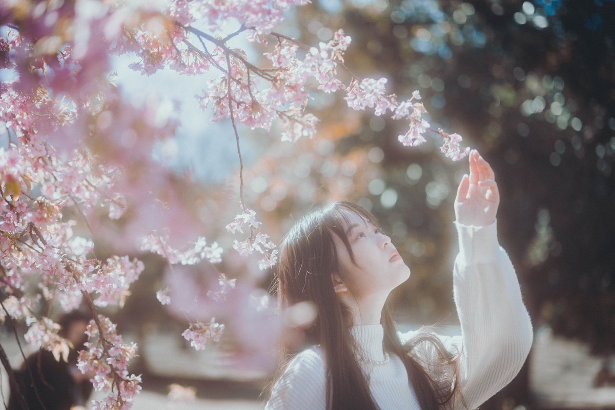 今年もたくさん素敵な景色を残したいです