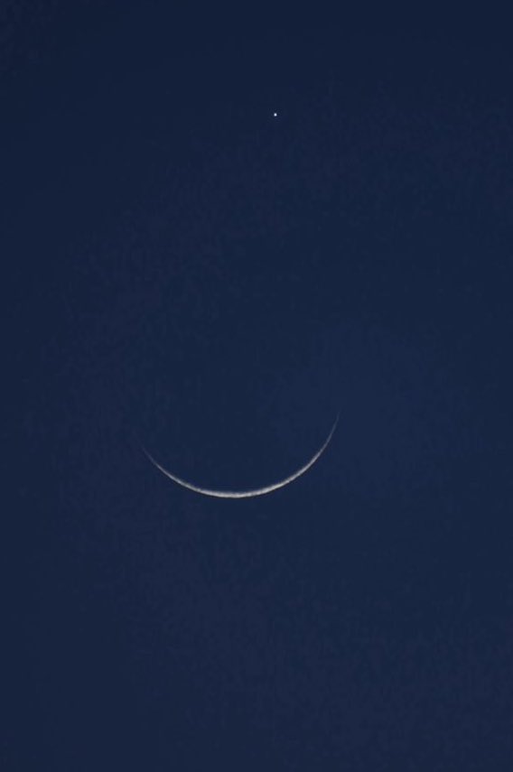 mountعlover tweet media