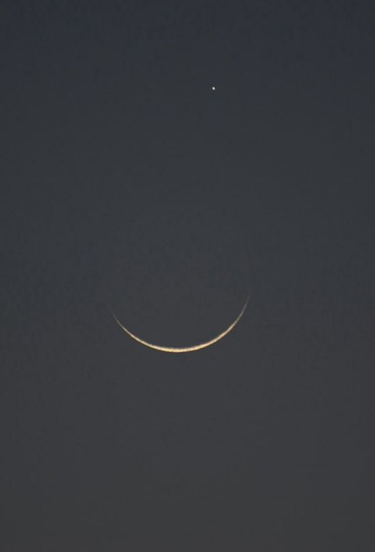 mountعlover tweet media