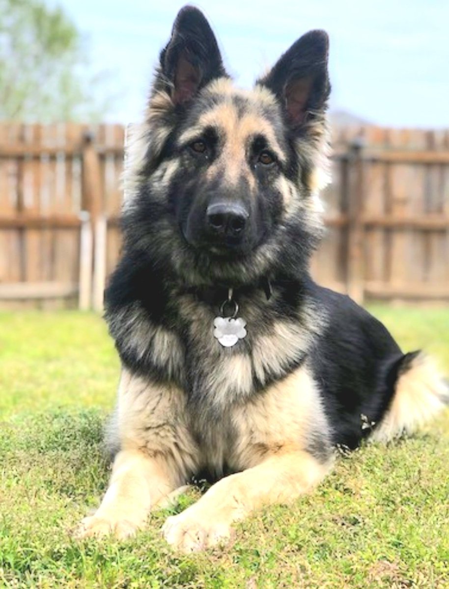 Colleen Malone tweet media