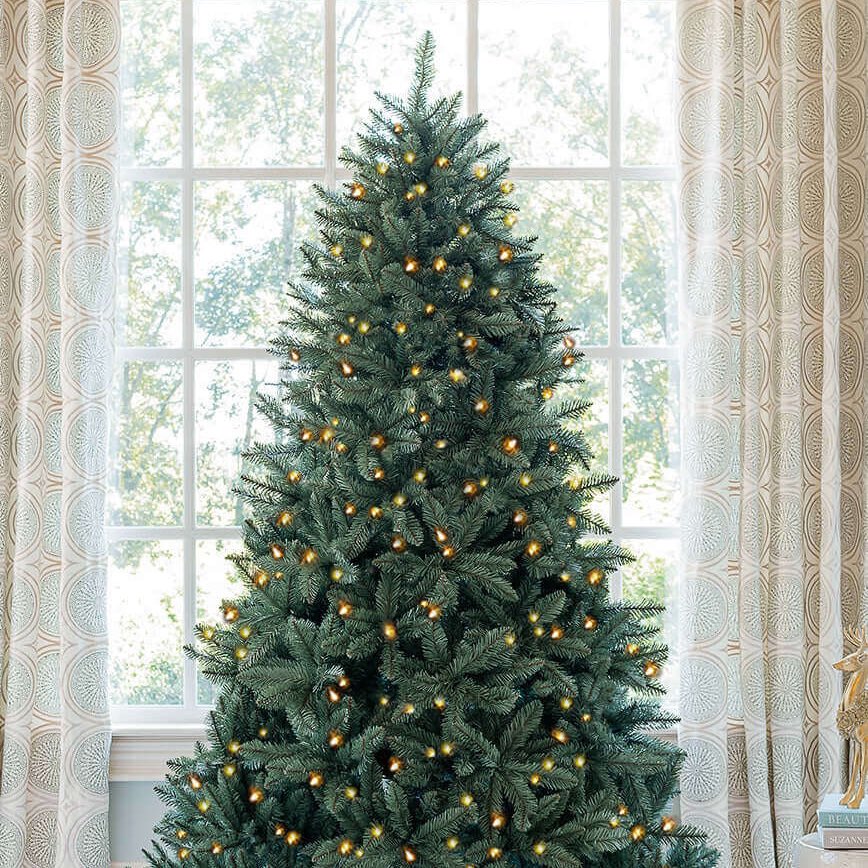 the bitchelorette tweet media