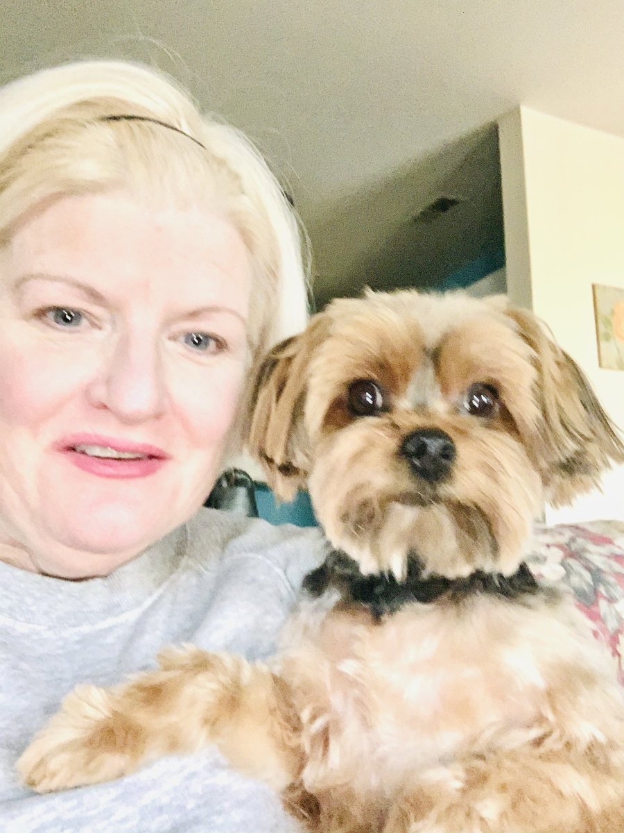 mdevs5999's tweet photo. @ACTBrigitte My dog 🐶 is my baby and my best friend. These people are out of their minds. https://t.co/nvfBvIuG8t