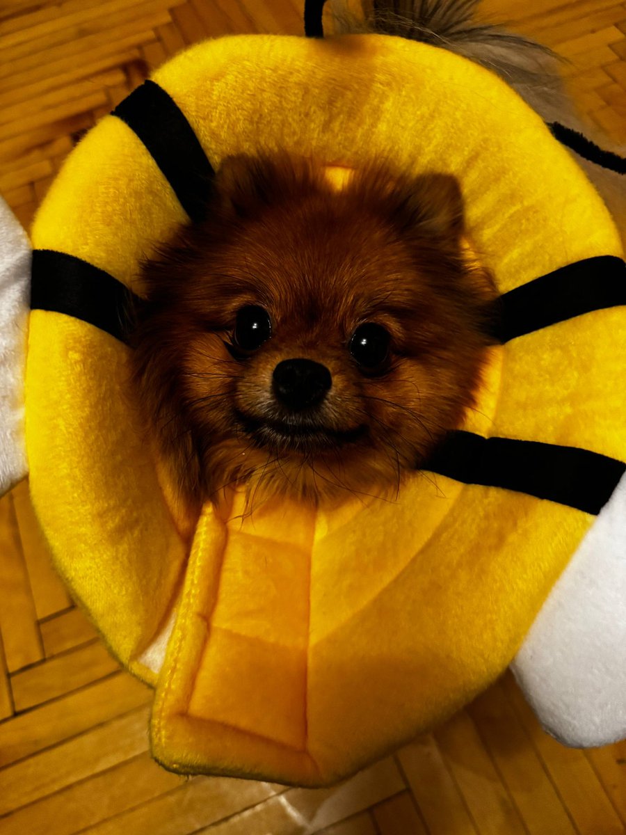 S__Panda's tweet photo. 🫶 https://t.co/NGTfiWWk9I