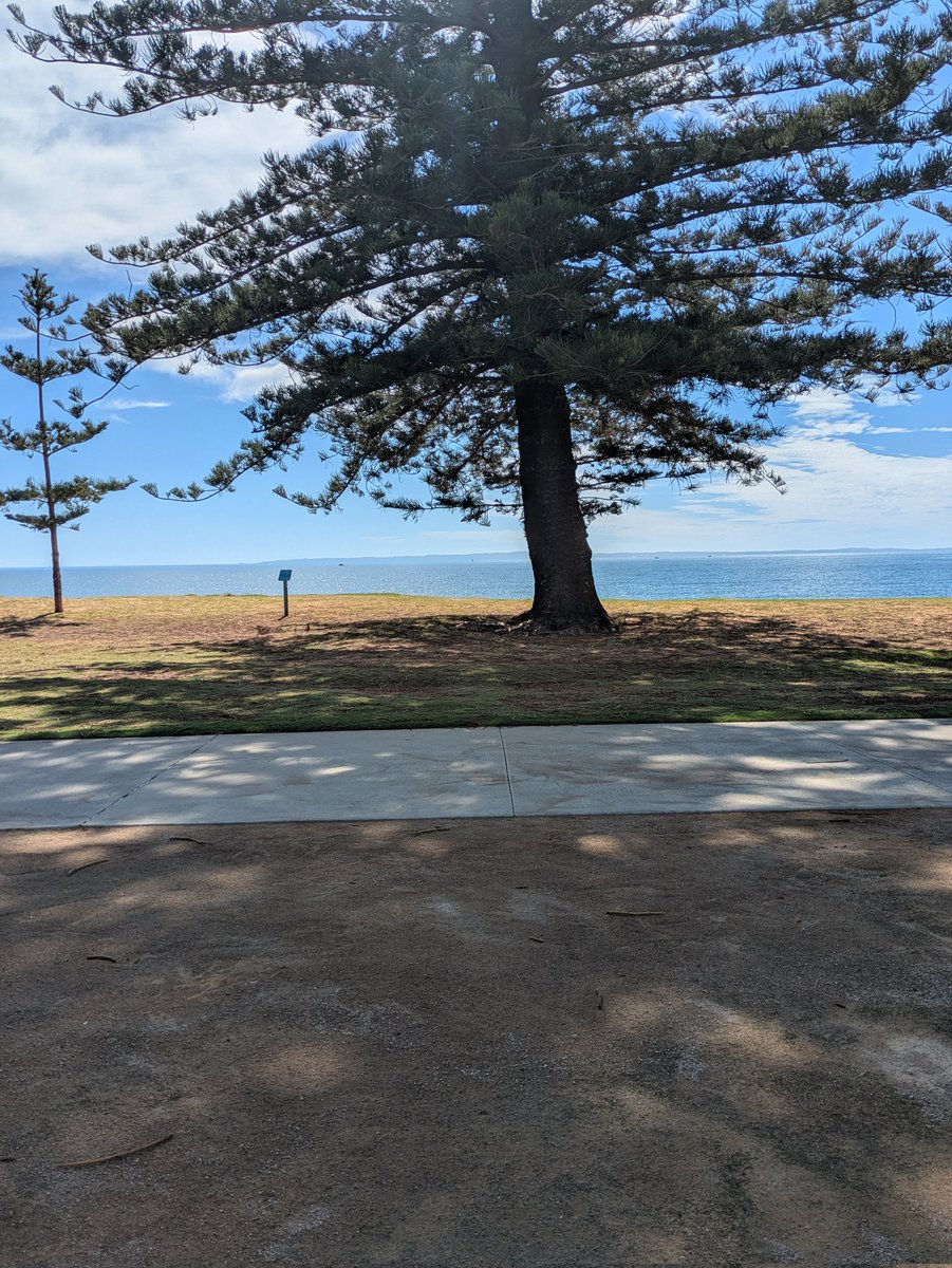 Rilassarsi all'ombra dopo una lunga passeggiata.