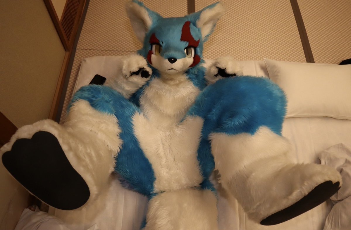 けもりぅ tweet media