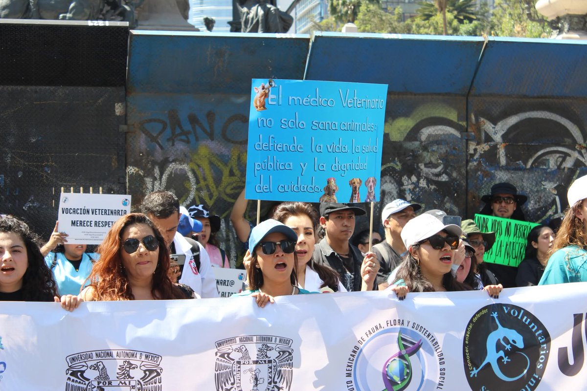 FedMVZ | Federación de Médicos Veterinarios 🇲🇽 tweet media