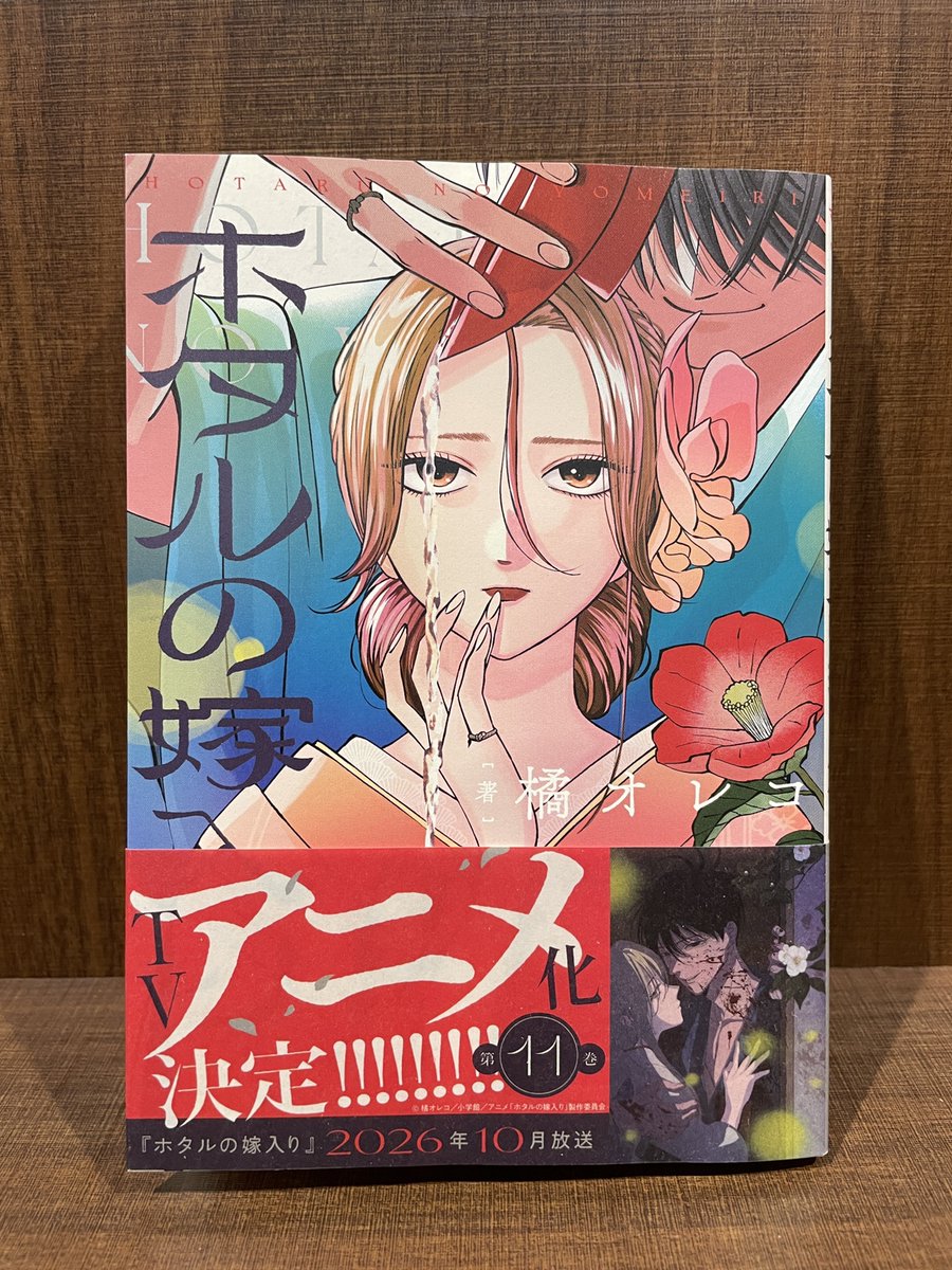 入荷情報】 『ホタルの嫁入り』 11巻 入荷してます✨ #ホタルの