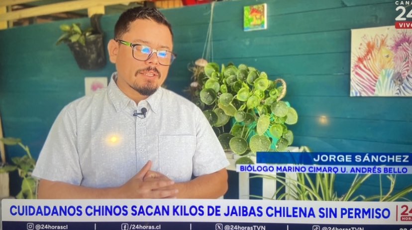 KekaBasualdo's tweet image. 🔴Hasta cuando los chilenos ACEPTAMOS que los CHINOS estén extrayendo SIN AUTORIZACIÓN JAIBAS  en nuestras costas y NADIE HACE NADA @GobiernodeChile @GabrielBoric