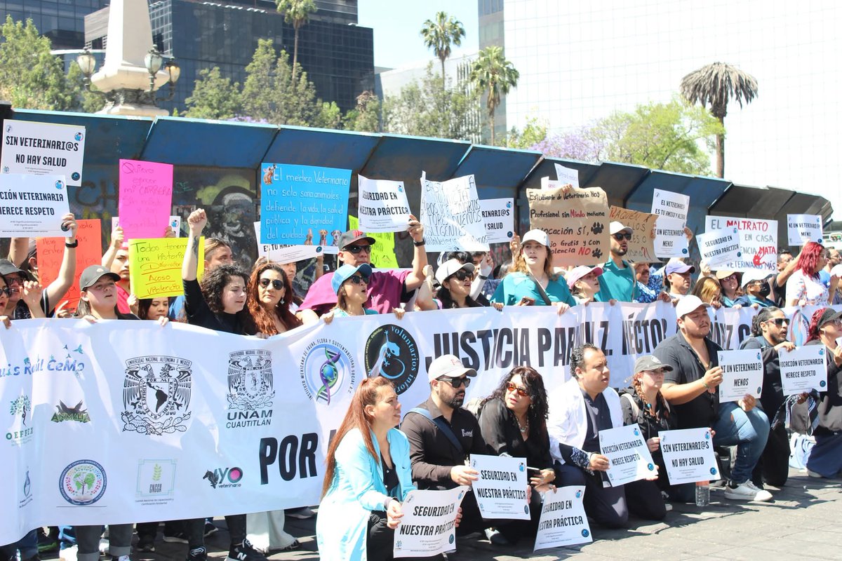 FedMVZ | Federación de Médicos Veterinarios 🇲🇽 tweet media