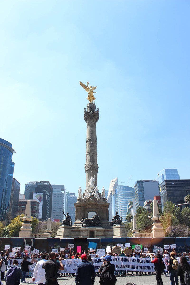FedMVZ | Federación de Médicos Veterinarios 🇲🇽 tweet media