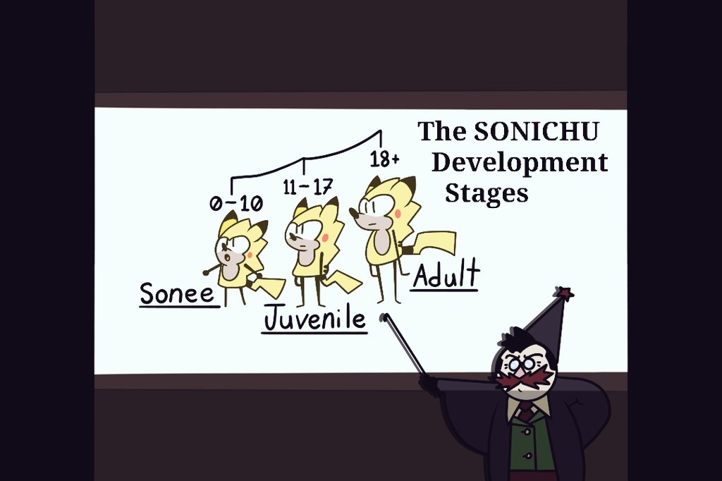 [SONICHU 101]

2.1 Sonichu Development Stages