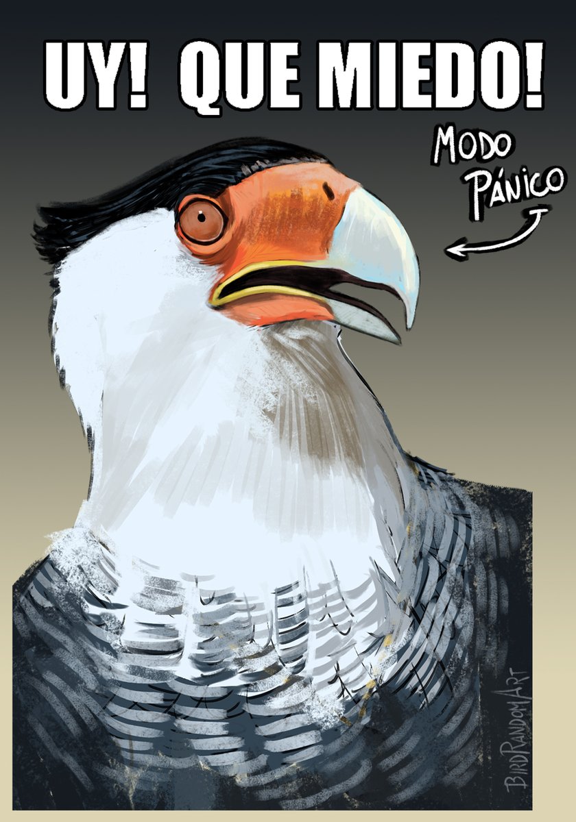 BirdRandomART🦤 tweet media